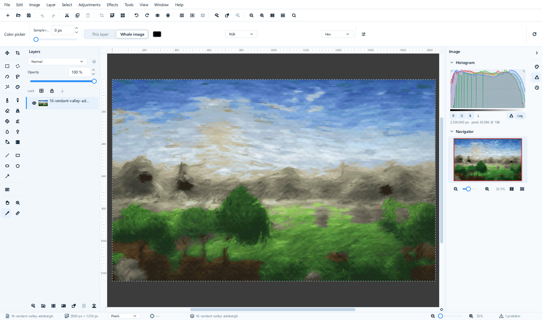 An Adobe RGB picture of a green valley open in the editor with the colour picker chosen. The histogram panel on the right shows the fine comb pattern left by the conversion into the working space, and the status bar reports one notice about the file's colour profile.